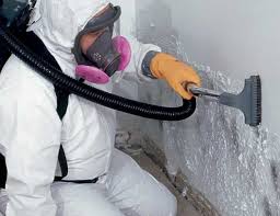 Best Comprehensive Air Testing for Mold Contaminants in Mcadoo, PA